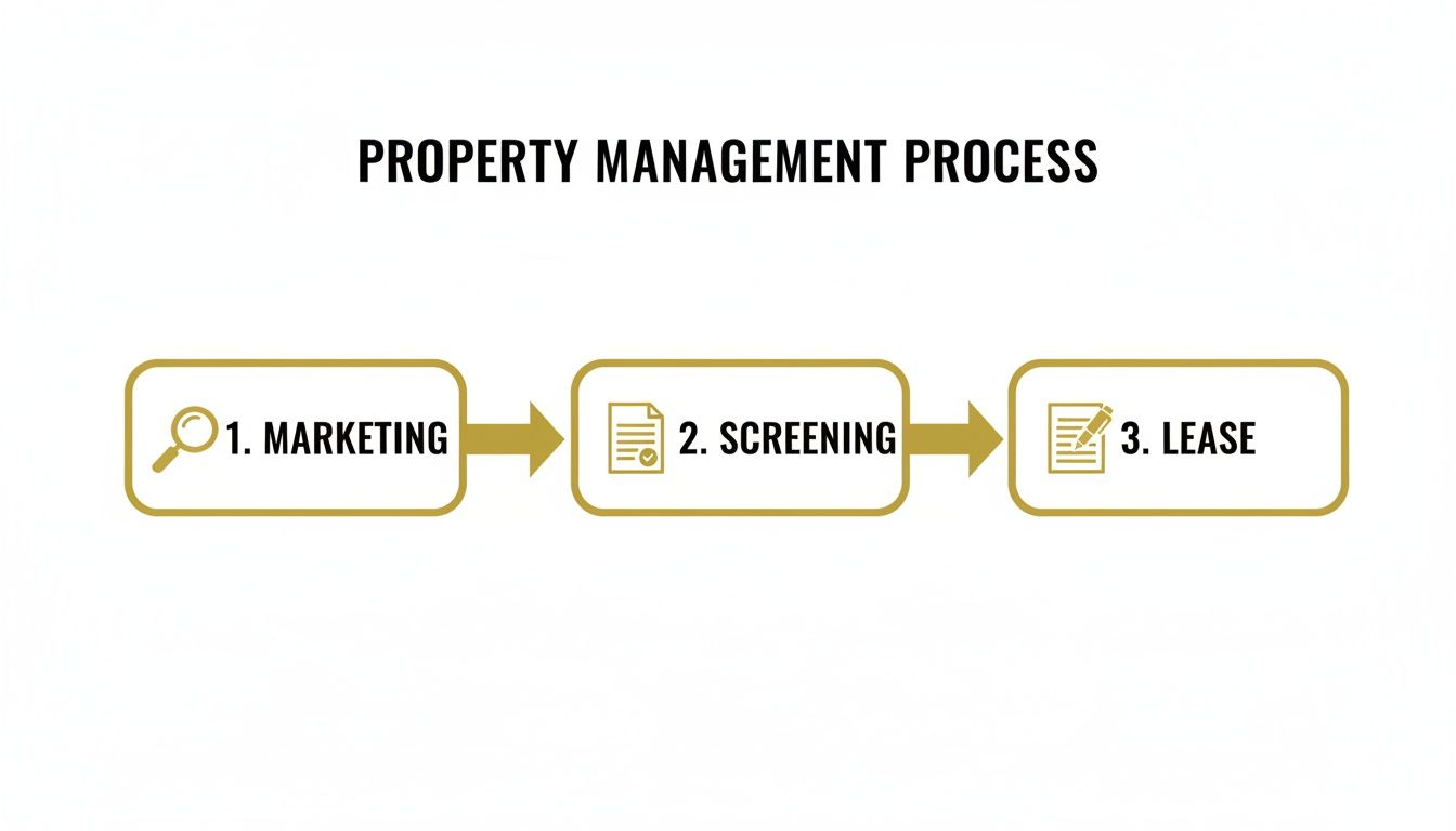 A flowchart illustrating the property management process with three steps: marketing, screening, and lease.