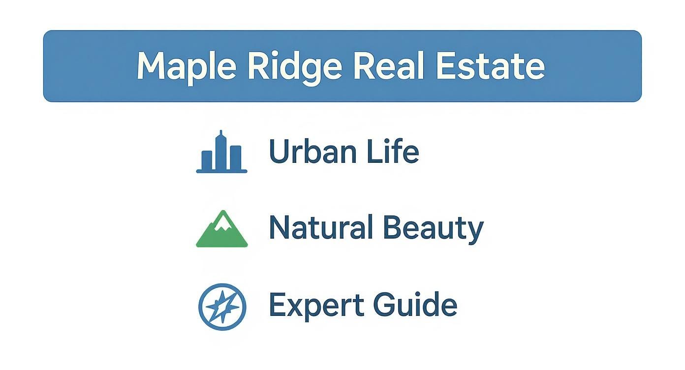 Infographic about real estate maple ridge