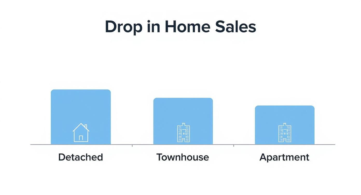 Infographic showing a side-by-side bar chart of declining home sales for detached houses, townhouses, and apartments in Maple Ridge.